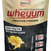 Wheyum Protein Powder - Image 4